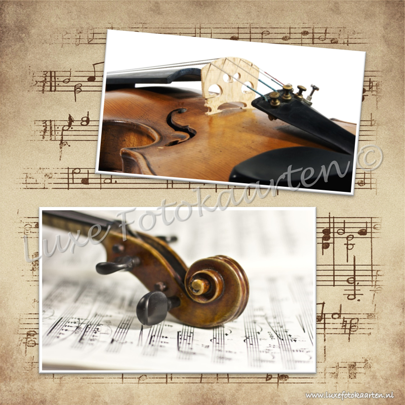 Blanco Muziek - viool